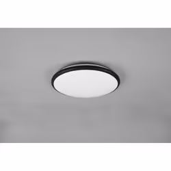 TRIO LIMBUS – R67021132, 1 ampoule(s), LED, 2300 lm, IP20, Noir