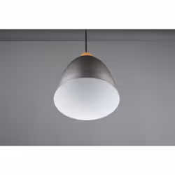 TRIO JAGGER – R30681067 éclairage de plafond Nickel E27