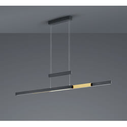 Lustre De Bureau Moderne Trajan Double Led Touch Gradateur Noir Et Laiton Trio Lighting