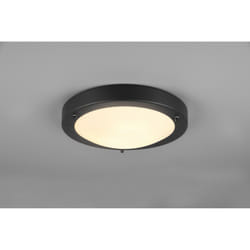 Trio - Plafonnier salle de bain Condus noir verre blanc IP44 Lighting