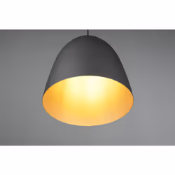 TRIO TILDA – R30661080 éclairage de plafond Noir, Or E27