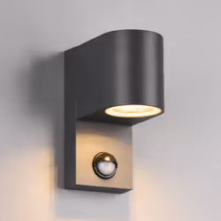 Applique dextérieur - Trio - Roya - Ronde moderne - Anthracite - IP44 avec détecteur de mouvement