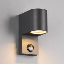 Applique dextérieur - Trio - Roya - Ronde moderne - Anthracite - IP44 avec détecteur de mouvement