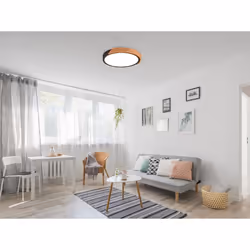 TRIO R67201132 éclairage de plafond Ampoule(s) non remplaçable(s) LED 20 W