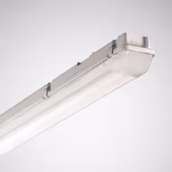 Trilux OLEVEON, 4000 K, 4200 lm, IP66, Gris