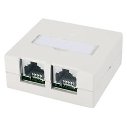 Telegärtner J00023A0056 prise de courant RJ-45 Blanc