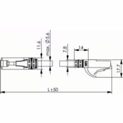 Telegärtner Cat.5e - Wiring 1:1 - U/UTP (PVC) MP8 100-3,0 green câble de réseau 3 m