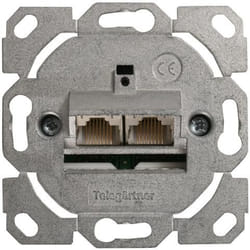 Telegärtner J00020A0388 prise de courant Argent