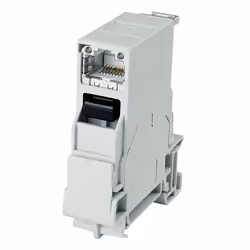 Telegärtner J80023A0001, RJ-45, 6a, Gris