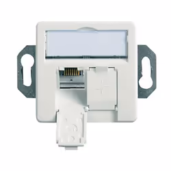 Telegärtner 100022957, 2 x RJ-45, 6a, Blanc, Zinc, 1 pièce(s)