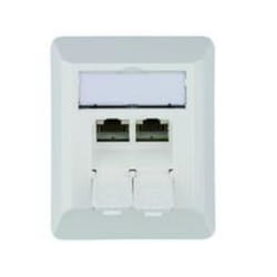 Telegärtner J00023A0204 prise de courant RJ-45 Blanc