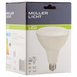 Müller-Licht 400066 ampoule LED 15 W E27 G