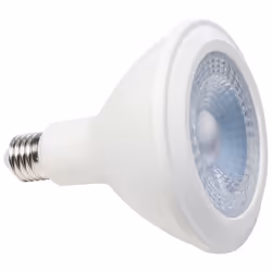 Müller-Licht 400066 ampoule LED 15 W E27 G