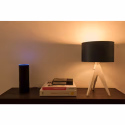 Müller-Licht 404008 ampoule LED Blanc froid 6500 K 4,9 W E14 F