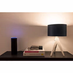 Müller-Licht 404008 ampoule LED Blanc froid 6500 K 4,9 W E14 F