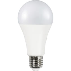 Müller-Licht 401008 ampoule LED Blanc froid 4000 K 15 W E27 F