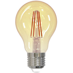 Müller-Licht 401073 ampoule LED Blanc chaud 2000 K 4,5 W E27 F