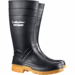 Bottes de travail Albatros Guardian High