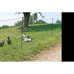 Filet à volailles électrifiable 25m simple pointe - KERBL - Vert - 112 cm x 250 cm - PVC