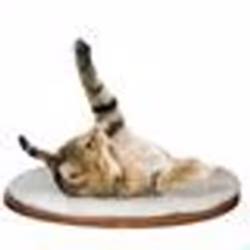 Kerbl Hamac mural pour chats Dolomit 45 x 40 cm Blanc 81504