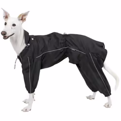 Manteau de pluie pour chien Kerbl Manchester