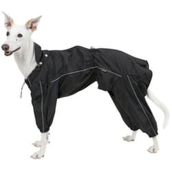 Manteau de pluie pour chien Kerbl Manchester