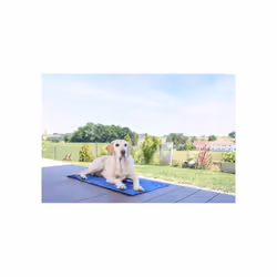 Tapis Rafraîchissant - Kerbl - Coolrelax - 50 X 40 Cm - Bleu - Vue supplémentaire 2