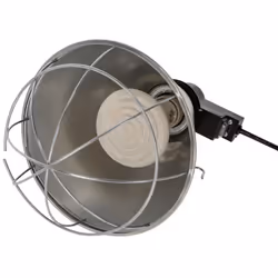 Kerbl 225285 ampoule infrarouge 100 W