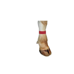 Bracelet Kerbl avec fermeture velcro pour Vacum, 33 x 4 cm, rouge
