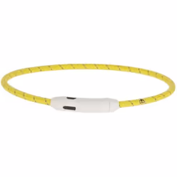 Collier pour chien Led Kerbl Maxi Safe