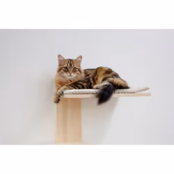 Kerbl Timber Tour griffoir pour chat - Vue supplémentaire 5
