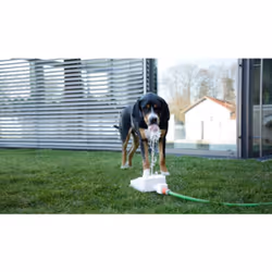 Kerbl Bubble gamelle et abreuvoir pour chiens et chats Bleu, Blanc Chien Fontaine à eau automatique pour animaux de compagnie - Vue supplémentaire 10