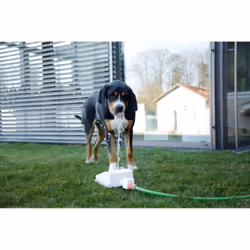 Kerbl Bubble gamelle et abreuvoir pour chiens et chats Bleu, Blanc Chien Fontaine à eau automatique pour animaux de compagnie - Vue supplémentaire 11