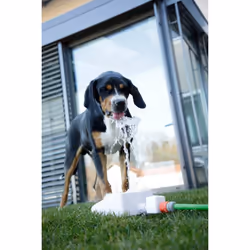 Kerbl Bubble gamelle et abreuvoir pour chiens et chats Bleu, Blanc Chien Fontaine à eau automatique pour animaux de compagnie - Vue supplémentaire 12