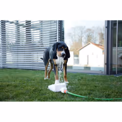 Kerbl Bubble gamelle et abreuvoir pour chiens et chats Bleu, Blanc Chien Fontaine à eau automatique pour animaux de compagnie - Vue supplémentaire 9