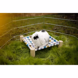 Kerbl 81811 cage et niche pour petits animaux Rabit Multicolore
