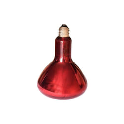 Lampe infrarouge pour fournir de la chaleur à la litière, puissance 250 w