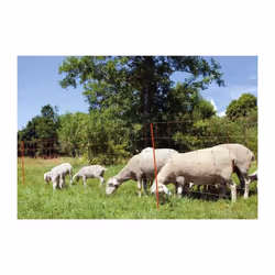 KERBL Filet mouton - Ovinet électrifiable - 14 piquets - Hauteur 90cm - Longueur 50m. 8 lignes électrifiées, sans raidisseurs ...