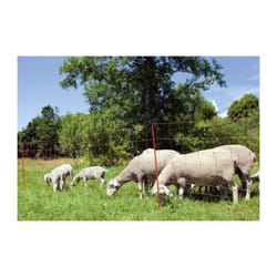 Kerbl - Filet pour moutons OviNet 90 cm 27251