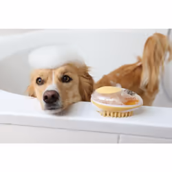 Kerbl MagicBrush Or, Transparent Chien Brosse - Vue supplémentaire 10