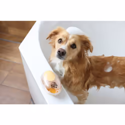 Kerbl MagicBrush Or, Transparent Chien Brosse - Vue supplémentaire 12