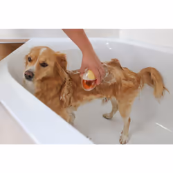 Kerbl MagicBrush Or, Transparent Chien Brosse - Vue supplémentaire 5