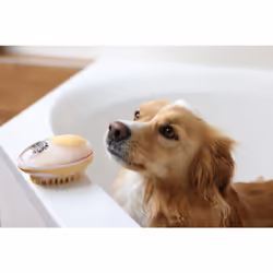 Kerbl MagicBrush Or, Transparent Chien Brosse - Vue supplémentaire 7