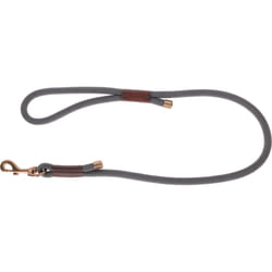 Kerbl Monte Carlo 0,1 m Marron, Gris Chien Laisse éducative