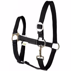Licol écurie équitation randonné pony design classic robuste bouclerie inox têtière réglable cheval poney