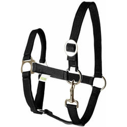 Licol écurie équitation randonné pony design classic robuste bouclerie inox têtière réglable cheval poney