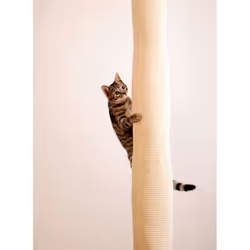 Kerbl Climber Cat scratching basket - Vue supplémentaire 8