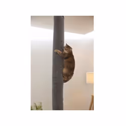 Ce sac a grimper et griffoir pour chats, a fixer au plafond, est revetu d'un polyester robuste et rempli de rembourrages mate ...