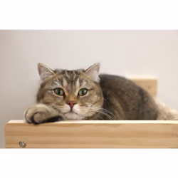 Kerbl Timber Hammock pet bed