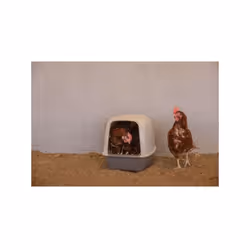 Assurez un environnement de ponte propre et sécurisé pour vos poules avec ce pondoir KERBL. Idéal pour la litiere de paille,  ...